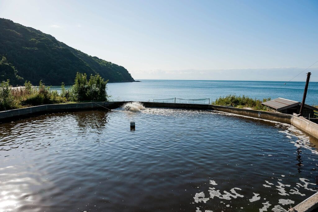 海老養殖風景