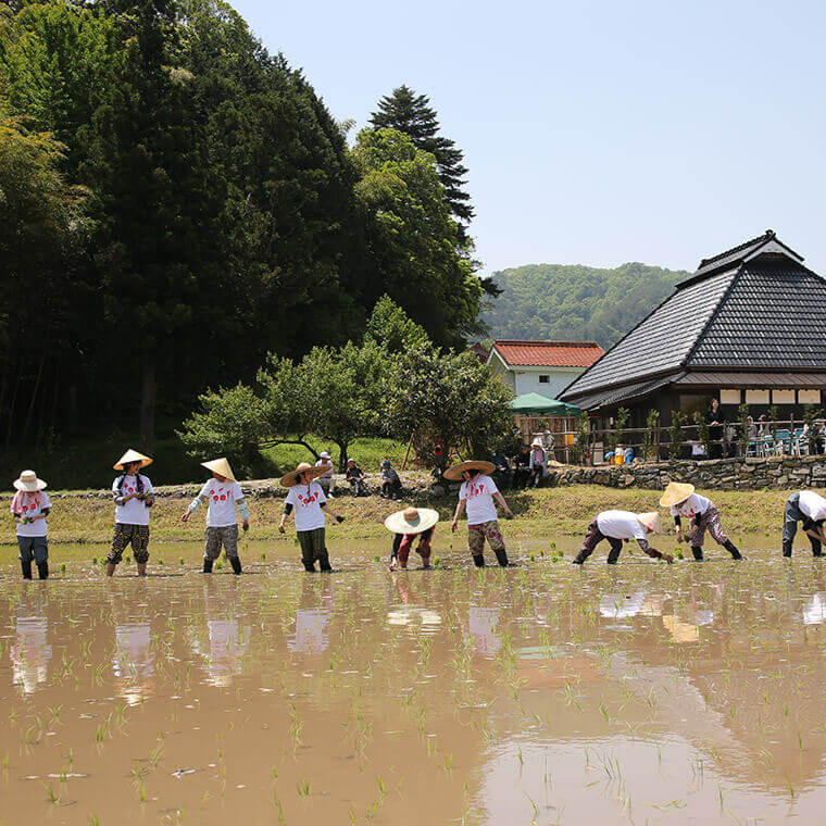 田植え風景